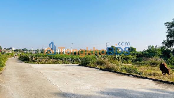 Đất nền Phú Thọ 80m² giá 600 triệu - Sổ hồng sẵn, gần KĐT River City