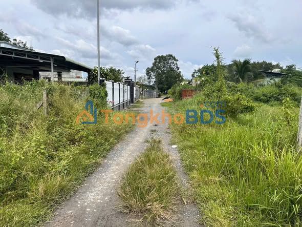 Đất nền Phước Hiệp Trảng Bàng 200m² 700-799tr - Đường to ô tô