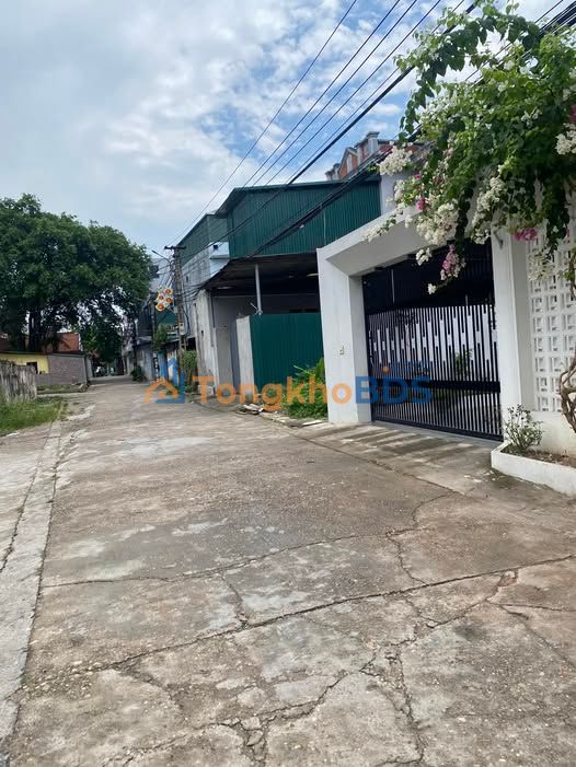 Đất Lương Quy, Đông Anh 57m² - Sổ Đỏ Sẵn Sàng - Đường Ô Tô Tránh