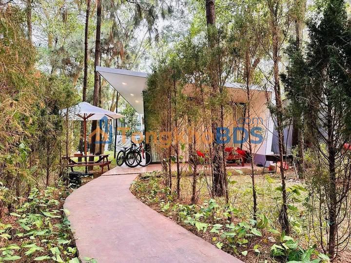 Townhouse Flamingo Đại Lải 140m² 3.4 tỷ - Đầu tư sinh lời