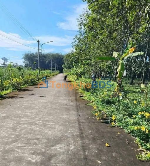 Đất Nền Sổ Đỏ 520m² Tân Hiệp, Phú Giáo - Giá 900 Triệu Chính Chủ