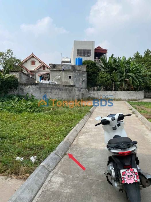 Đất Ngọc Thanh Kim Động 115m² nhỉnh tỷ sổ đỏ chính chủ