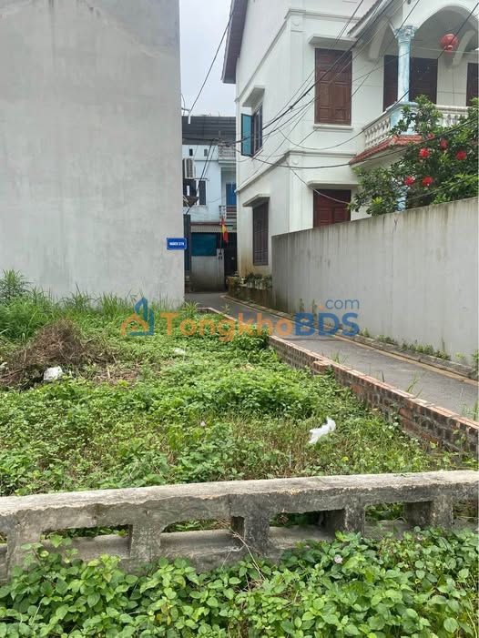 Đất Phụng Công Văn Giang 115m² - Đường to ô tô