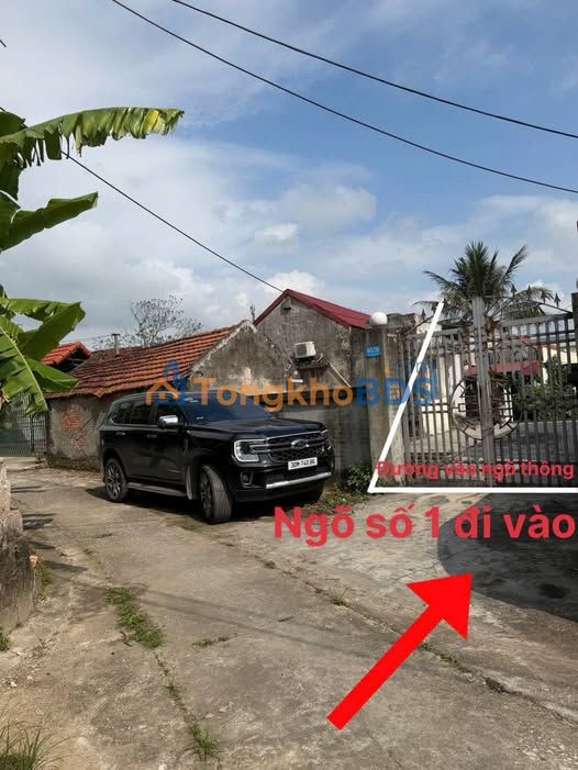 Đất nền Quang Hưng 54m² 700 triệu - Ô tô vào tận nơi
