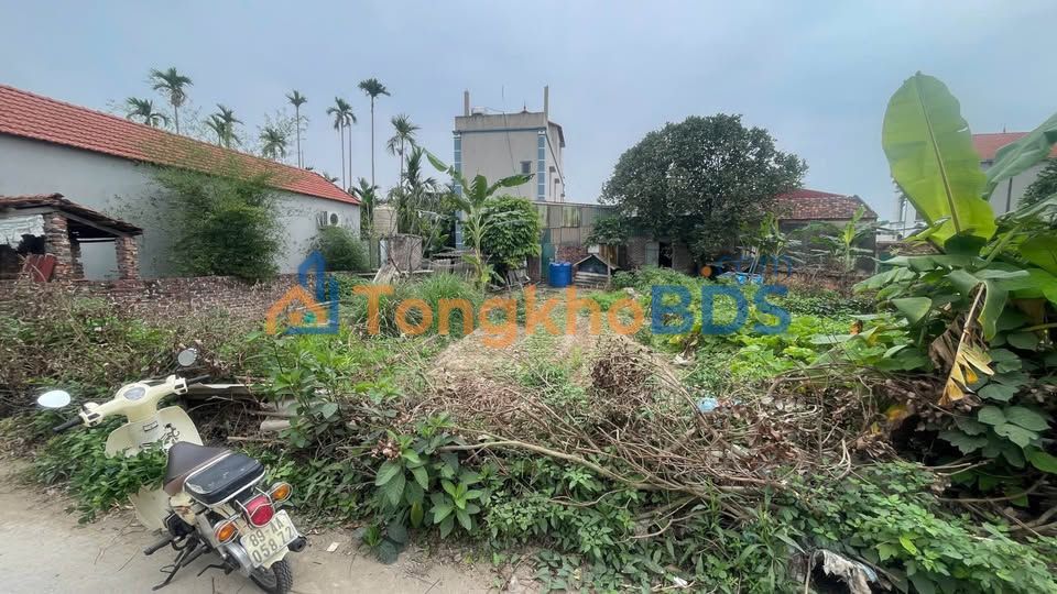 Đất nền Vĩnh Xá 86m² giá 1.05 tỷ - Đường ô tô