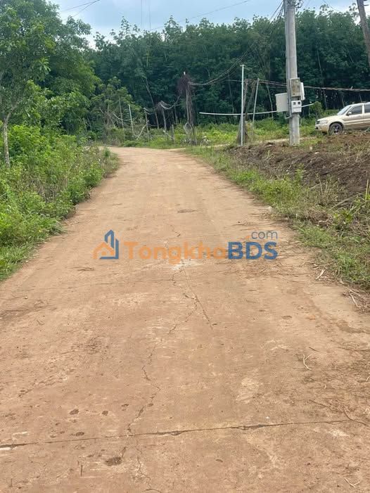 Đất nền Phường An Lộc Bình Long 275m² giá 1xx triệu - Tiềm năng tăng giá