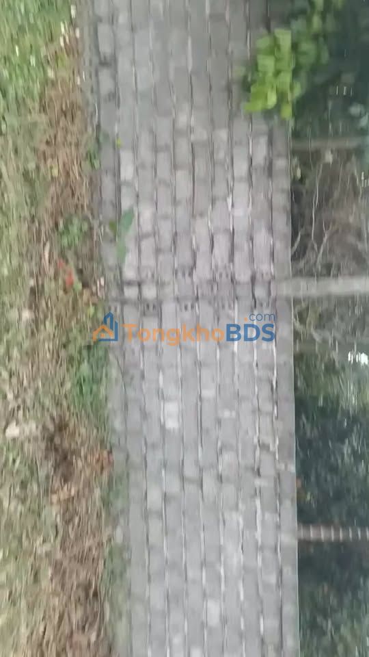 Đất nền Đông Bắc Hòa Bình 200m² 600 triệu - Sổ hồng chính chủ