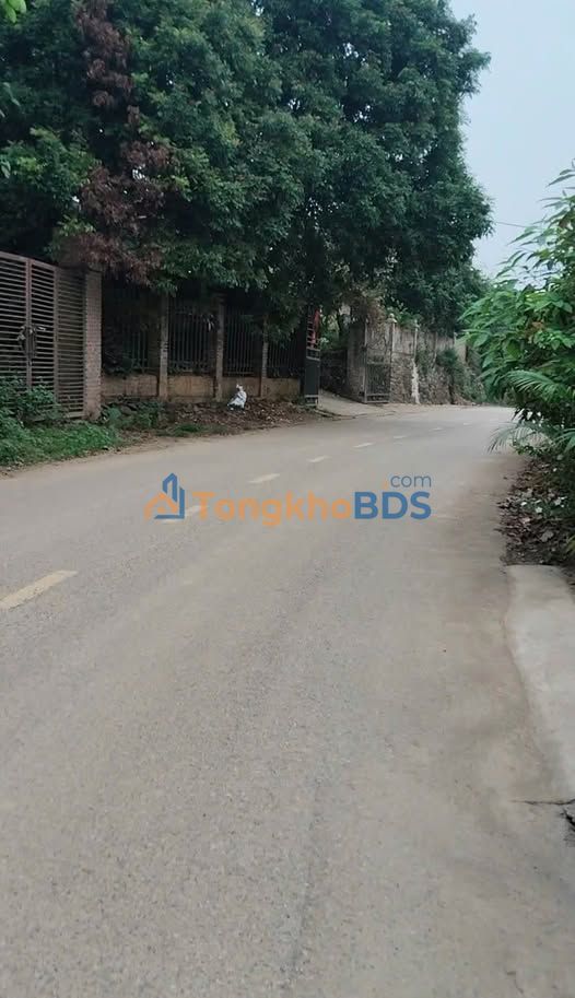 Đất Vàng Quốc Oai 3000m² - Mặt Tiền 50m - Giá Đầu Xuân Hơn 7 Tỷ/m²