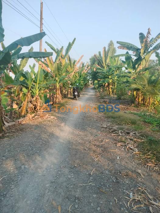 Đất nền Thanh Mỹ Đồng Tháp 2.75ha 8.525 tỷ - Sổ đỏ chính chủ