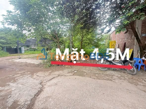 Đất La Thành Thuần Nghệ 70m² giá 3 tỷ - Sổ đỏ chính chủ