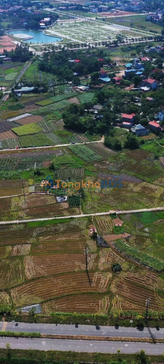 Đất nền Hợp Châu Tam Đảo 1000m² giá 7 tỷ - Sổ đỏ chính chủ