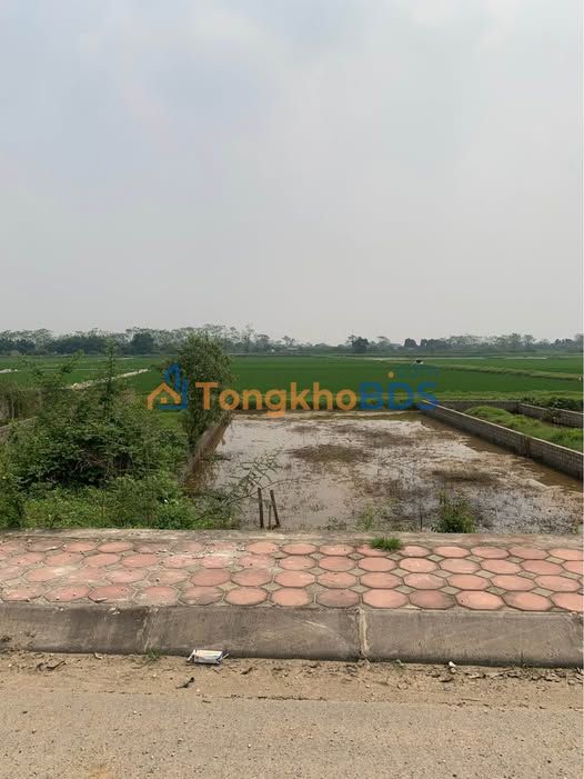 Đất nền Chương Mỹ Hà Nội 100m² - Sổ đỏ chính chủ