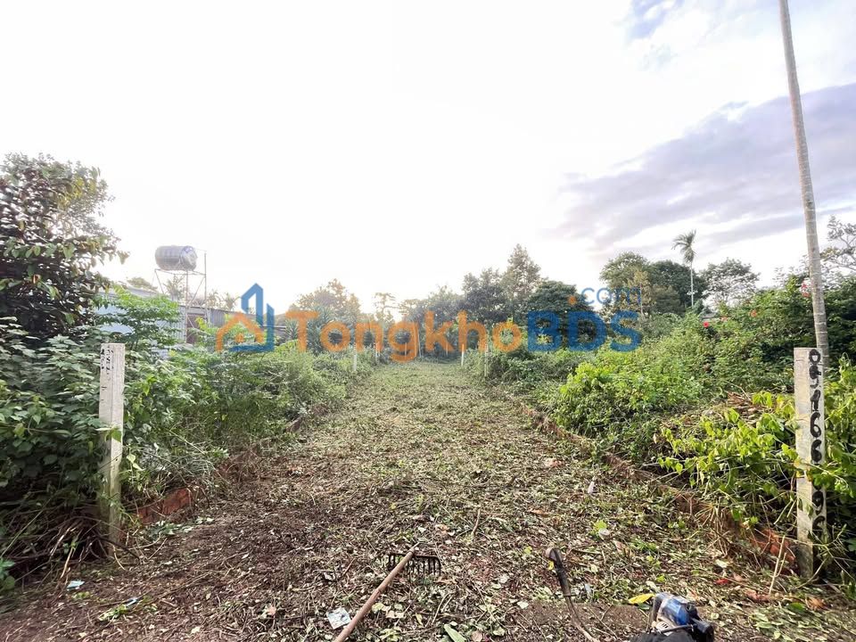 Đất nền QL26 Buôn Ma Thuột 135m² 1.35 tỷ - Tiềm năng tăng giá