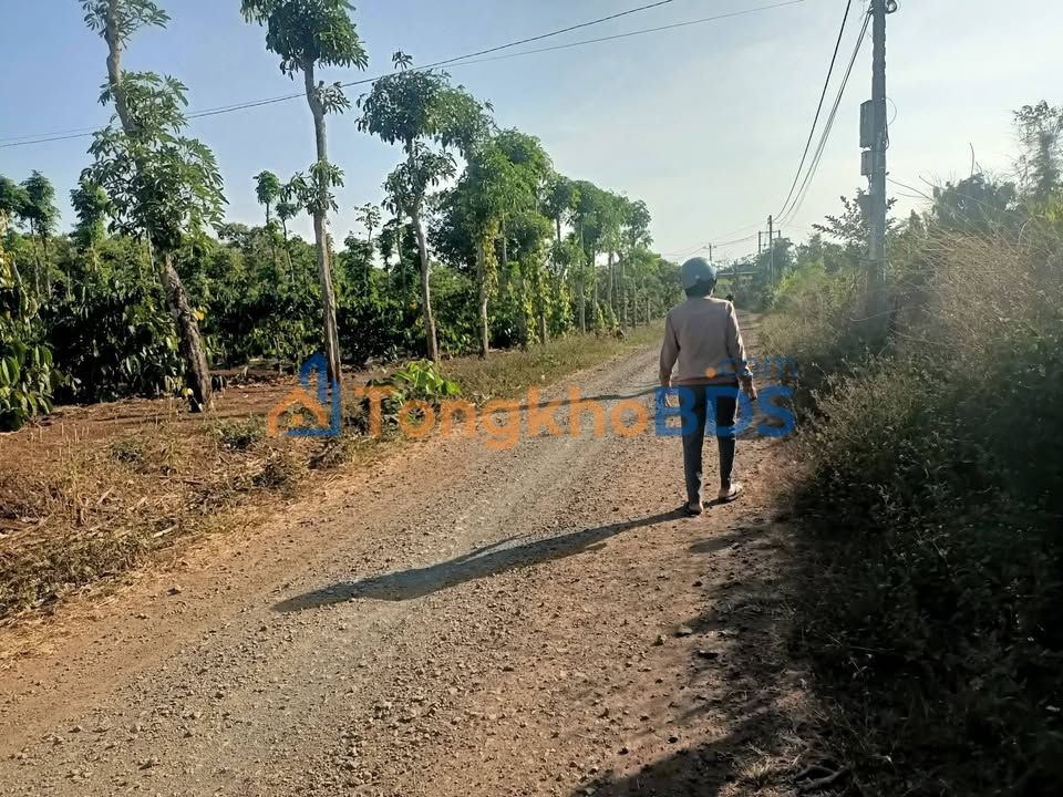 Đất nền Cư ÊBur Buôn Ma Thuột 2000m² – Hạ tầng hoàn thiện