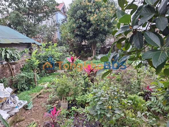 Đất nền Trung Sơn Trầm Sơn Tây 116m² 2 tỷ - Giá tốt hiếm có