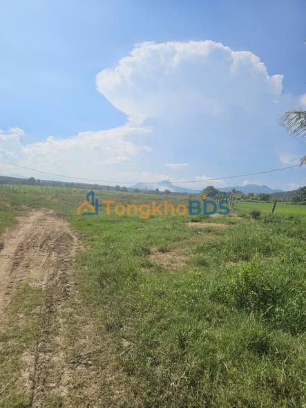 Đất nền Tân Hải La Gi 7.468m² 4,5 tỷ - Sổ đỏ chính chủ