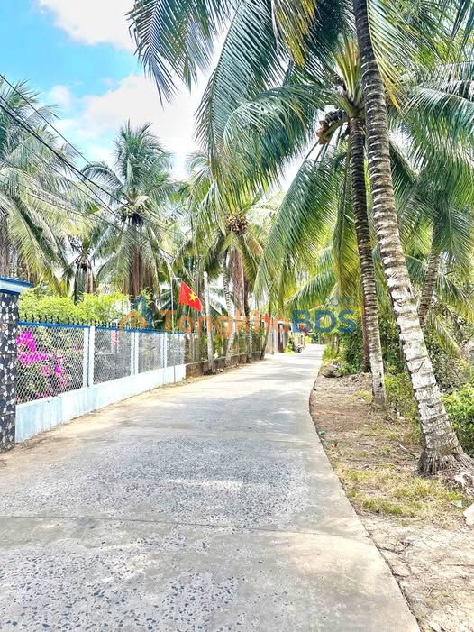 Đất nền Long Tuyền Cần Thơ 116m² 990 triệu - Sổ đỏ chính chủ