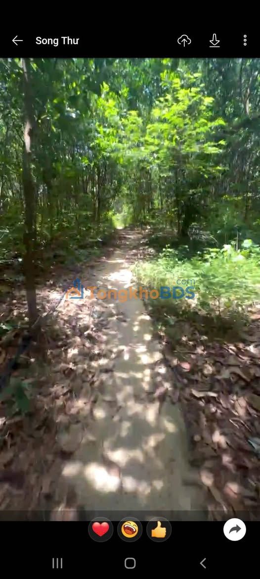 Đất nền view Hồ Hòa Bình 8500m² - Sổ đỏ chính chủ, giá đầu tư