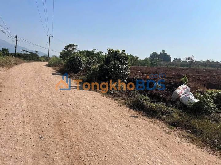 Đất Đức Trọng Bình Thạnh 2,5ha 850 triệu/sào - Giá tốt hiếm có