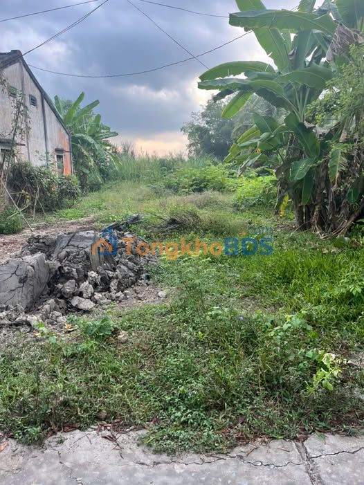 Đất nền Vị Trung Hậu Giang 602m² 5xx triệu Sổ đỏ chính chủ