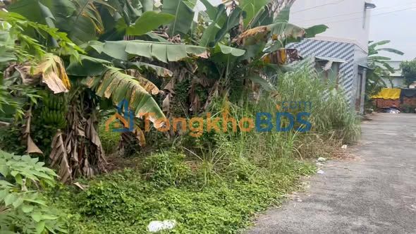 Đất nền Nguyễn Hữu Trí Tân Túc 113m² 5.4 tỷ - Sổ đỏ