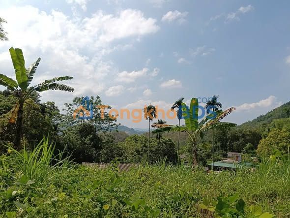 Đất nền Hợp Tiến Kim Bôi 3386m² 0.3tr/m² - Sổ đỏ chính chủ