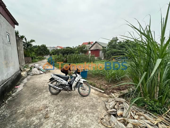 Đất nền Cổ Bì Bình Giang 80m² 400-499 triệu - Sổ đỏ chính chủ