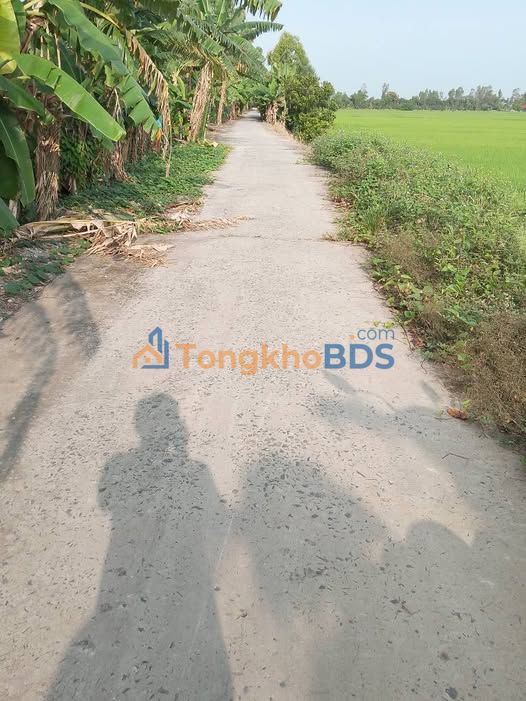 Đất ruộng Bình Thành 1.3ha giá 540 triệu - Sổ đỏ chính chủ