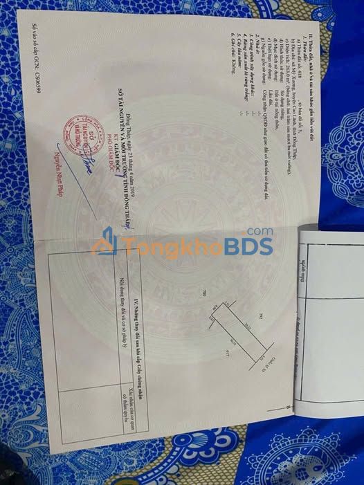 Đất nền Mỹ Xương Cao Lãnh 263m² giá 3 tỷ - Sổ đỏ chính chủ