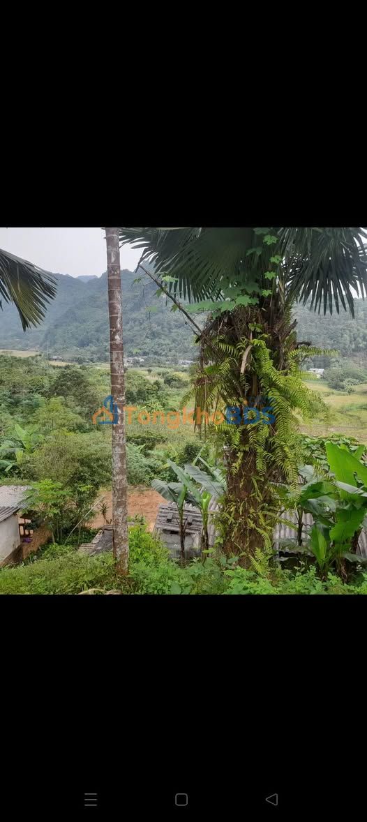 Đất nền Kim Bôi 750m² giá vài trăm nghìn - Tiềm năng tăng giá