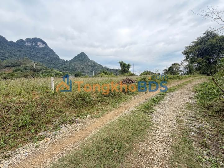 Đất nền Suối Hoa, Tân Lạc, Hoà Bình 247m² - Sổ đỏ vuông vắn, giá đầu tư