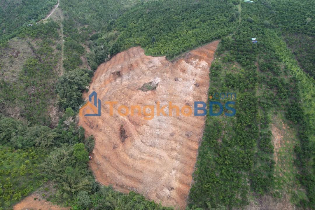 Đất nền Lộc Thắng Bảo Lâm 1,2 ha 1,5 tỷ - Sổ đỏ đầu tư sinh lời