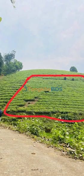 Đất Long Cốc Phú Thọ 1000m² - Pháp lý rõ ràng