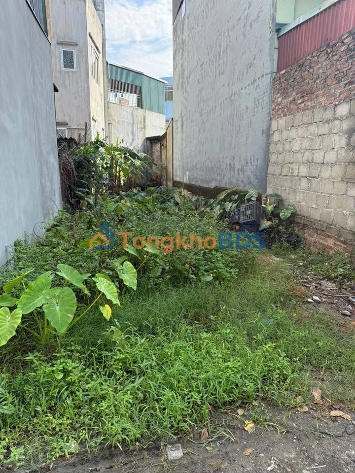 Đất nền Đồng Niên Hải Dương 80m² 1.655 tỷ - Đường ô tô