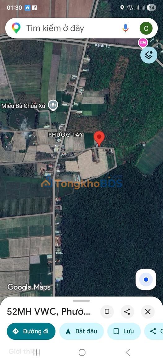 Đất cao su Long Phước Bến Cầu 70.000m² 11.2 tỷ - Đường ô tô