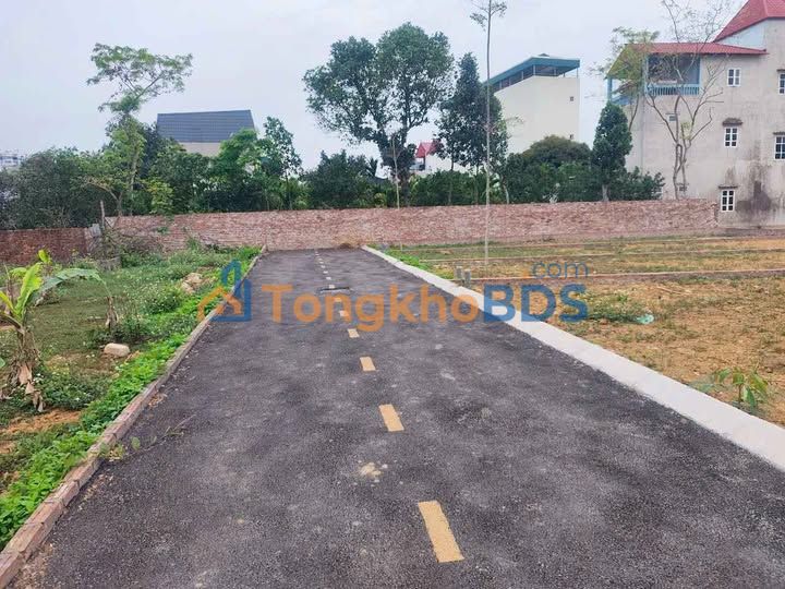 Đất nền Tân Xã Thạch Thất 212m² giá mềm - Đường to ô tô