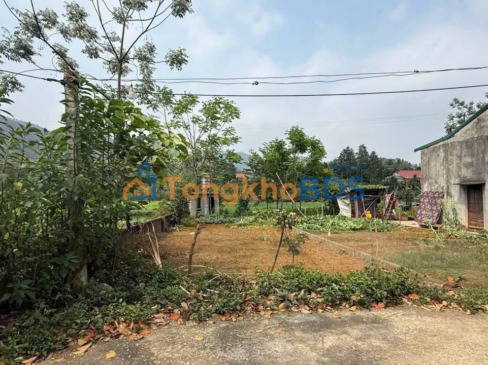 Đất nền Tân Quang Thanh Sơn 141m² 200 triệu - Giá tốt hiếm có