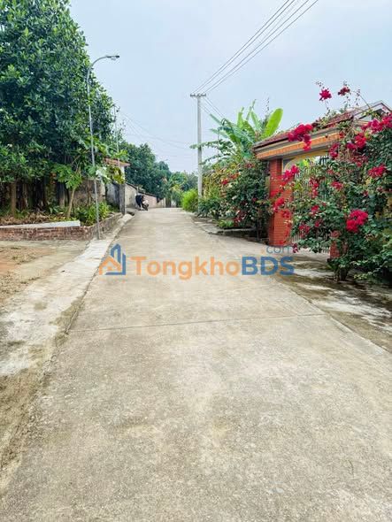 Đất nền Thái Hòa Lập Thạch 120m² 500 triệu - Xây dựng tự do