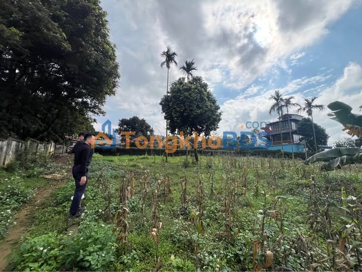 Đất nền Lương Sơn 70m² 880 triệu - Sổ hồng chính chủ