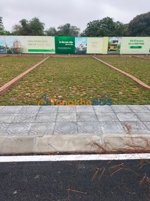 Bán Đất Thổ Cư 100m² Tiến Xuân, Thạch Thất - Sổ Đỏ Sẵn Sàng