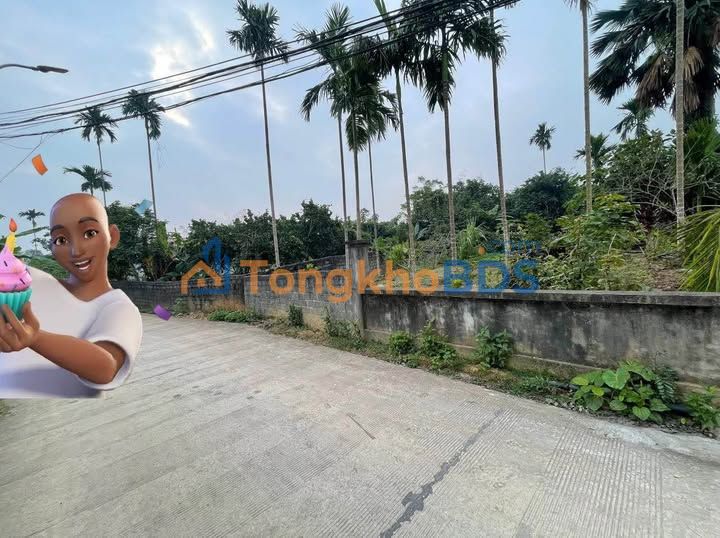 Đất nền Phường Tân Hòa Hòa Bình 250m² 800 triệu - Đường to ô tô