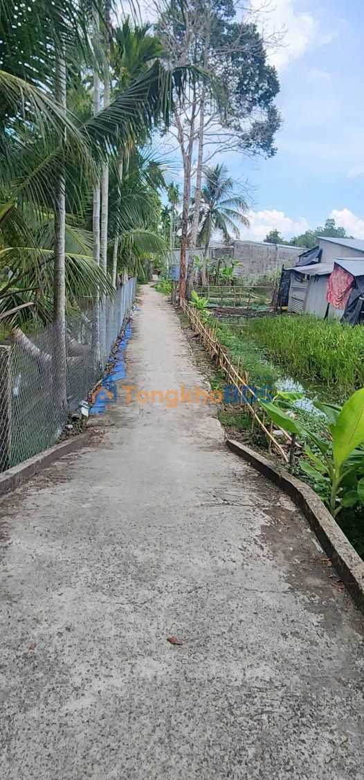 Đất nền Hẻm 28 P4 Vị Thanh 1000m² 650tr - Hạ tầng mở rộng