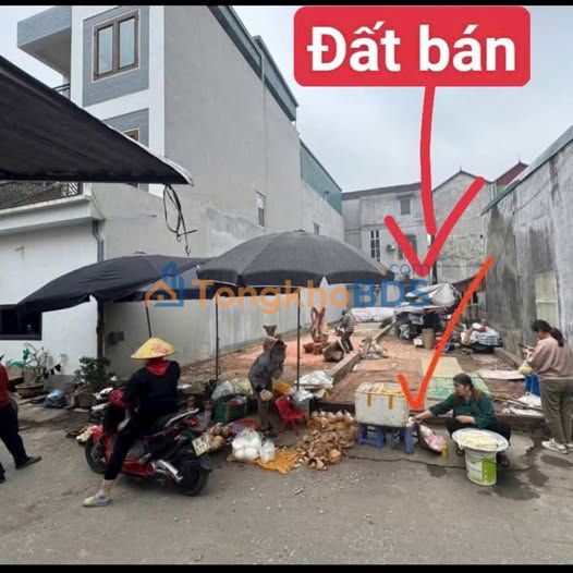 Đất nền Thạch Hòa 51,2m² giá 1,82 tỷ - Sổ đỏ chính chủ