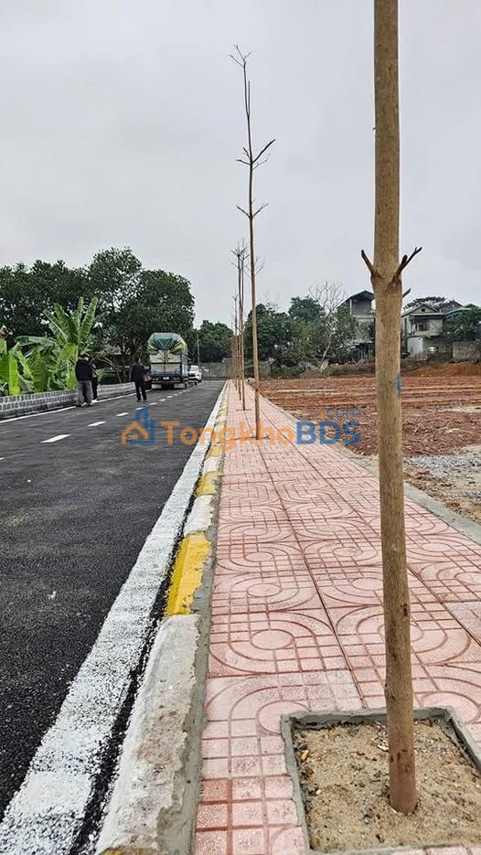 Đất Phố Lâm Hoá Lạc Sơn 124m² 650 triệu - Pháp lý rõ ràng