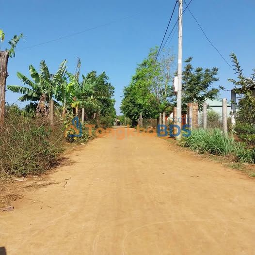 Đất nền Biển Hồ Pleiku 50m² 4xx triệu - Sổ đỏ chính chủ