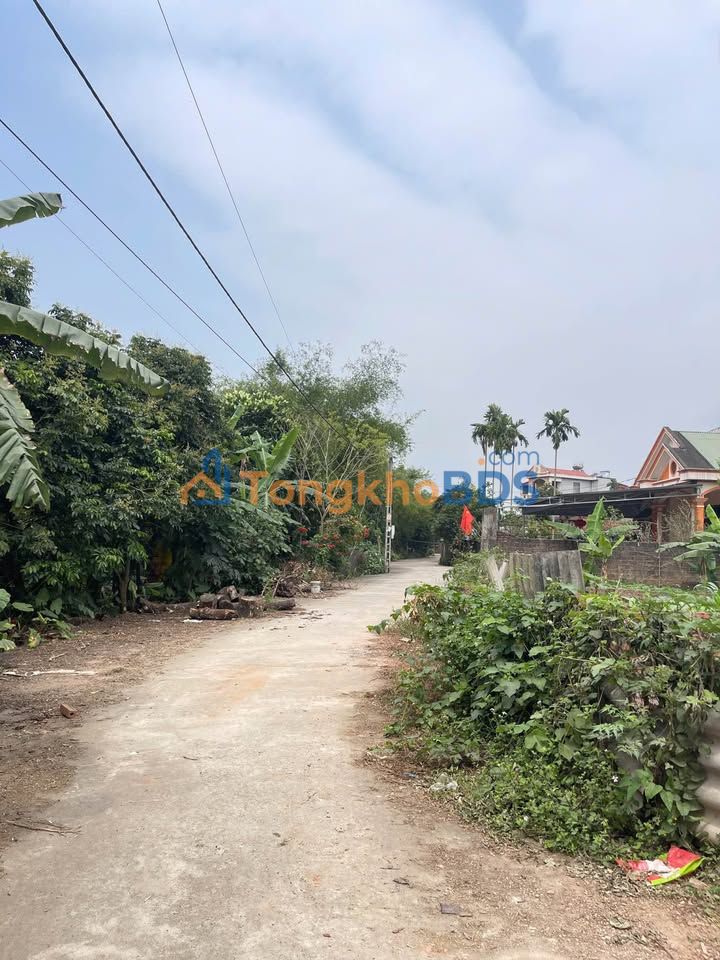 Đất nền Palm Manor Việt Trì 84m² 1 tỷ - Đường ô tô