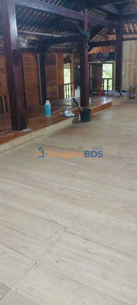 Đất Nền Góc 996m² Tại Thu Cúc, Phú Thọ - Sẵn Sàng Xây Dựng