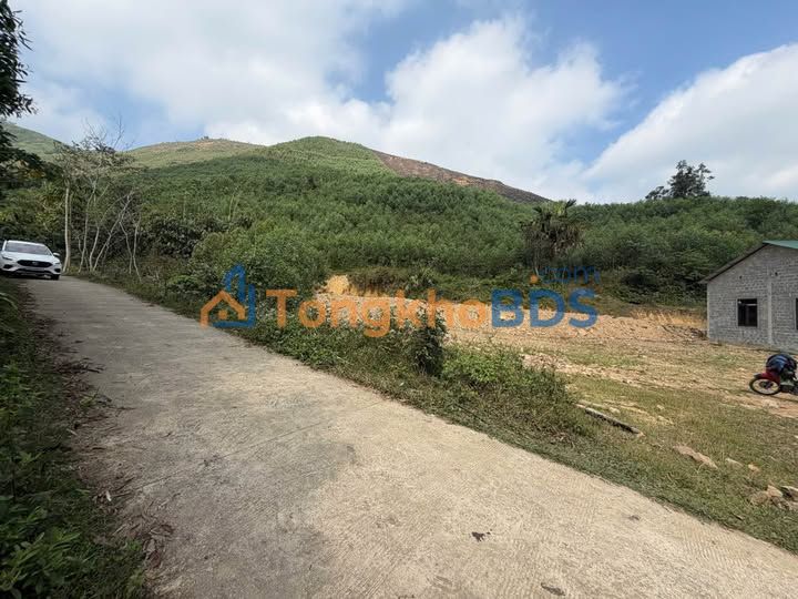 Đất Vườn Hòa Bình 1300m² Full Thổ Cư - View Đồng Thoáng Đãng