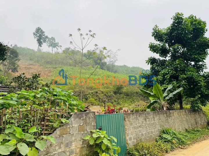 Bán đất nền 1265m² mặt đường bê tông Tú Lý, Đà Bắc, Hòa Bình - Giá đầu tư 1,x tỷ