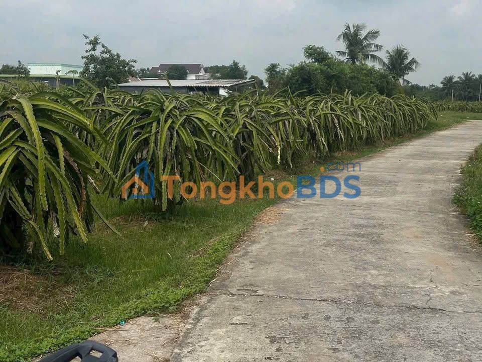 Đất nền Hàm Liêm 900m² giá 450tr - Đất thổ cư 100%